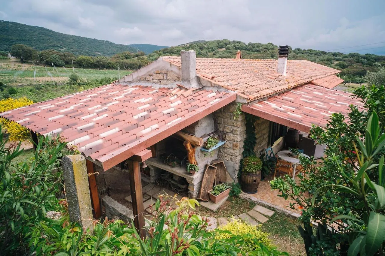 Bed & Breakfast B&B San Michele Berchidda Italia