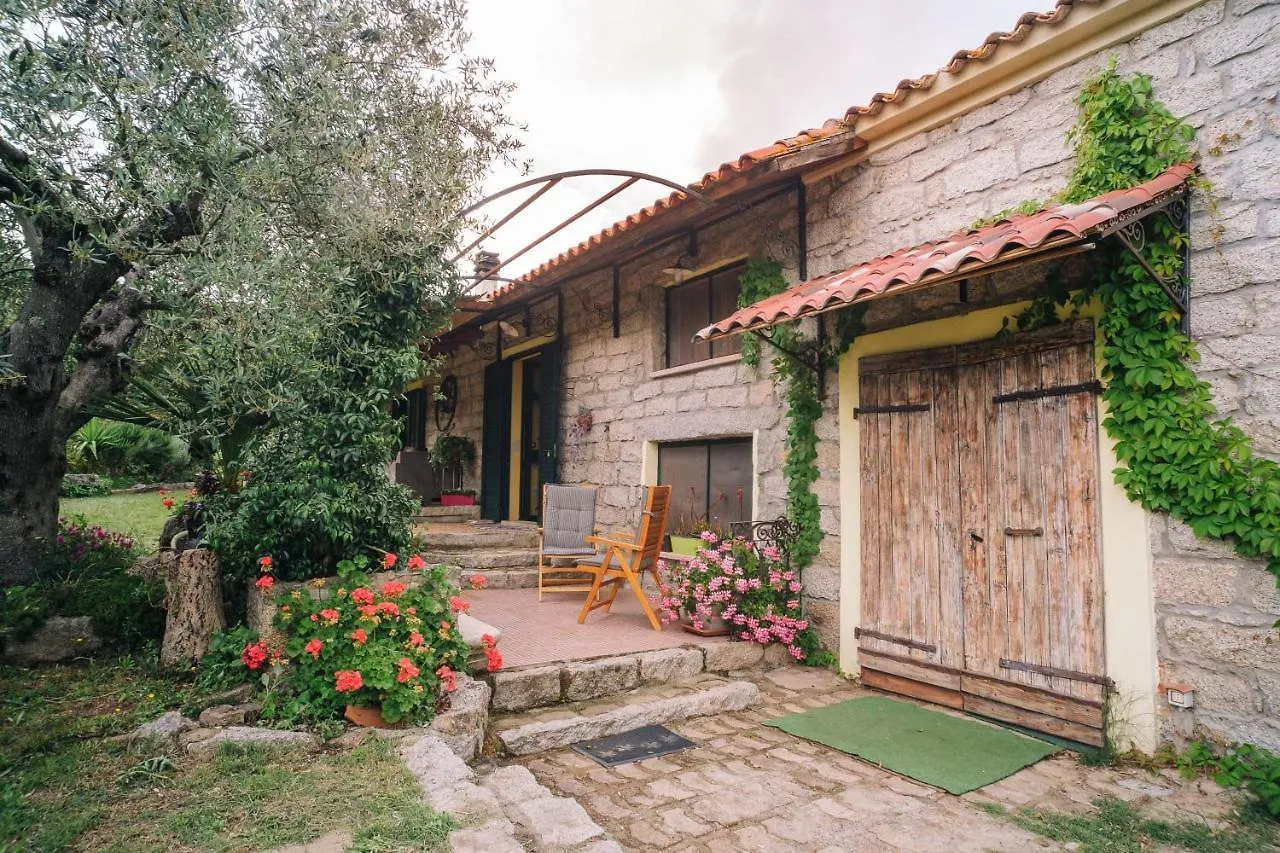B&B San Michele Berchidda Italia
