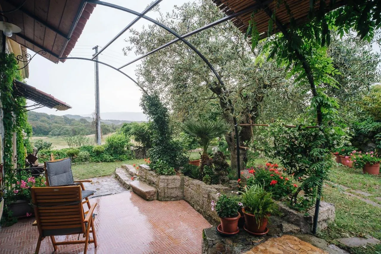B&B San Michele Berchidda Bed & Breakfast