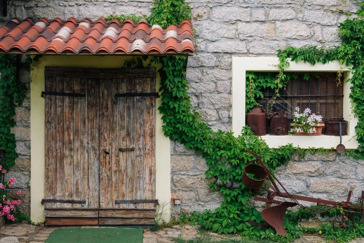 Bed & Breakfast B&B San Michele Berchidda
