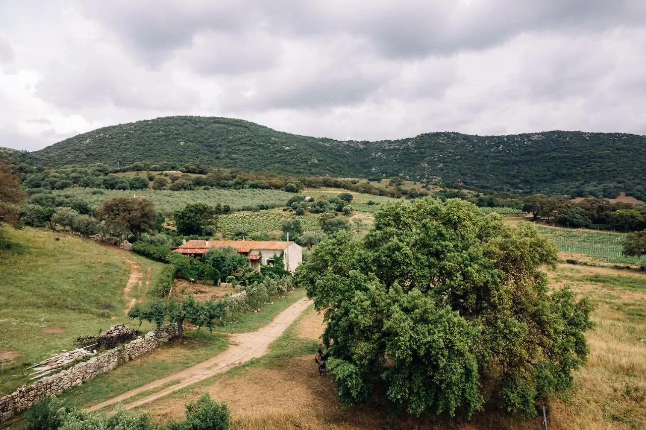 B&B San Michele Berchidda Italia