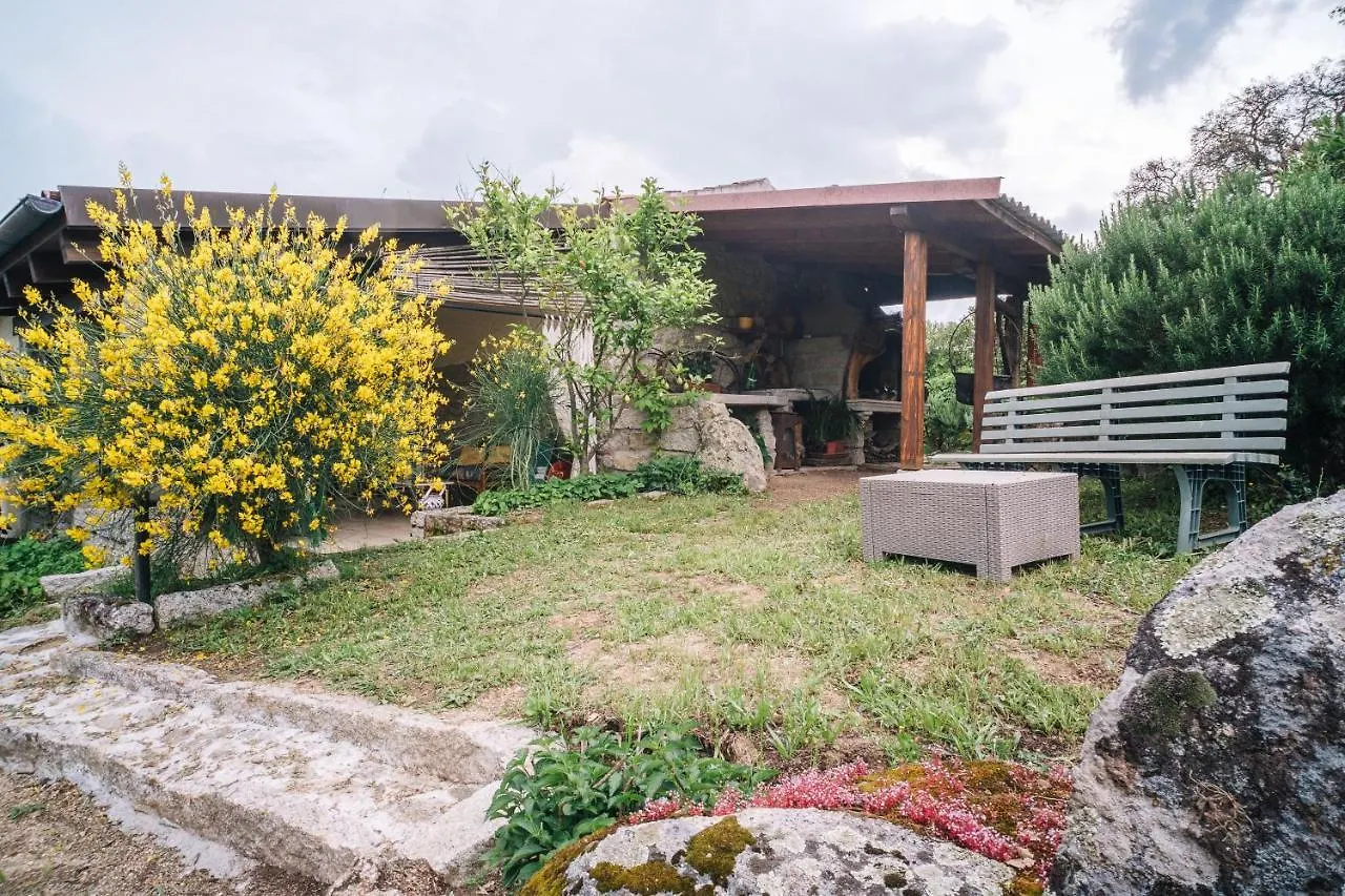 Bed & Breakfast B&B San Michele Berchidda Italia