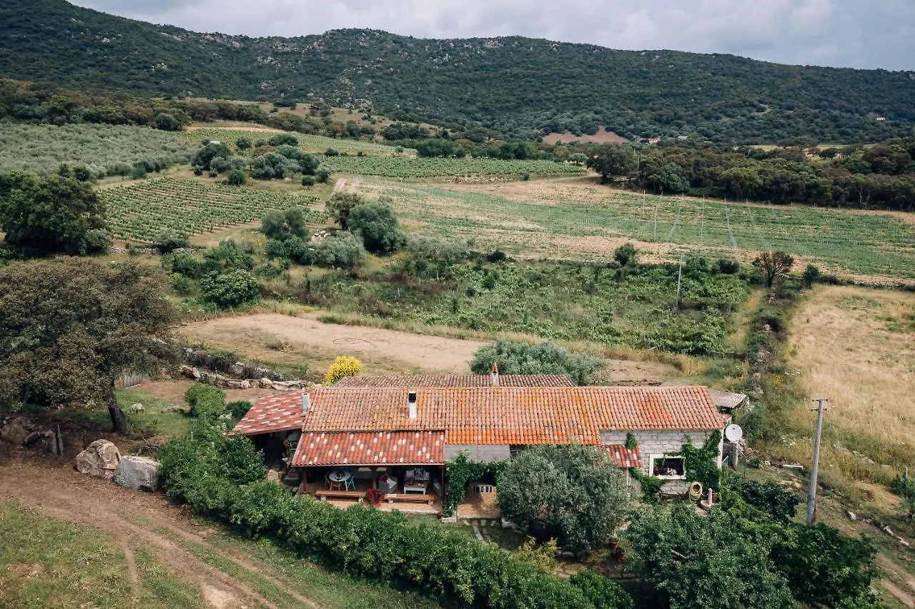 B&B San Michele Berchidda