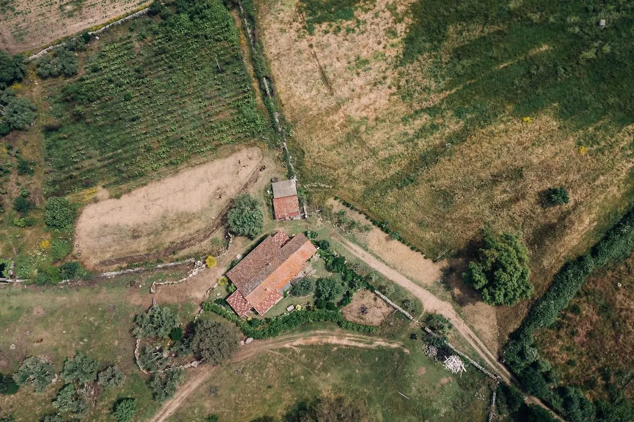 Bed & Breakfast B&B San Michele Berchidda