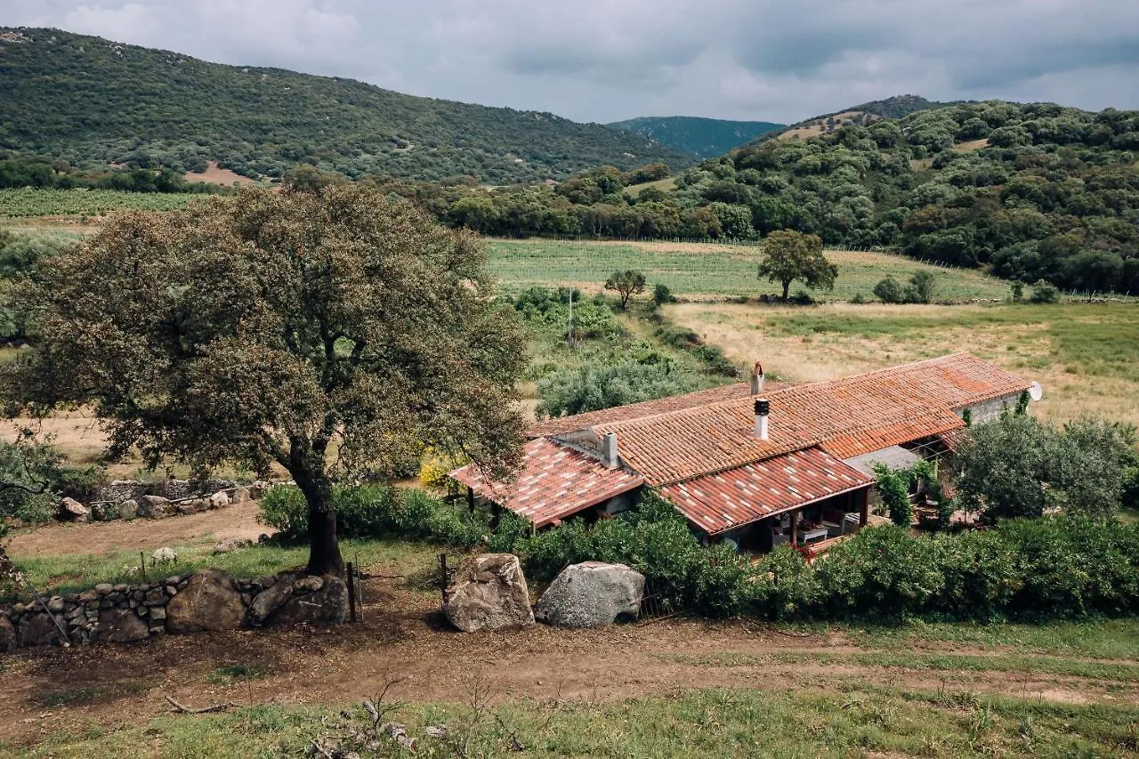 B&B San Michele Berchidda 0*,