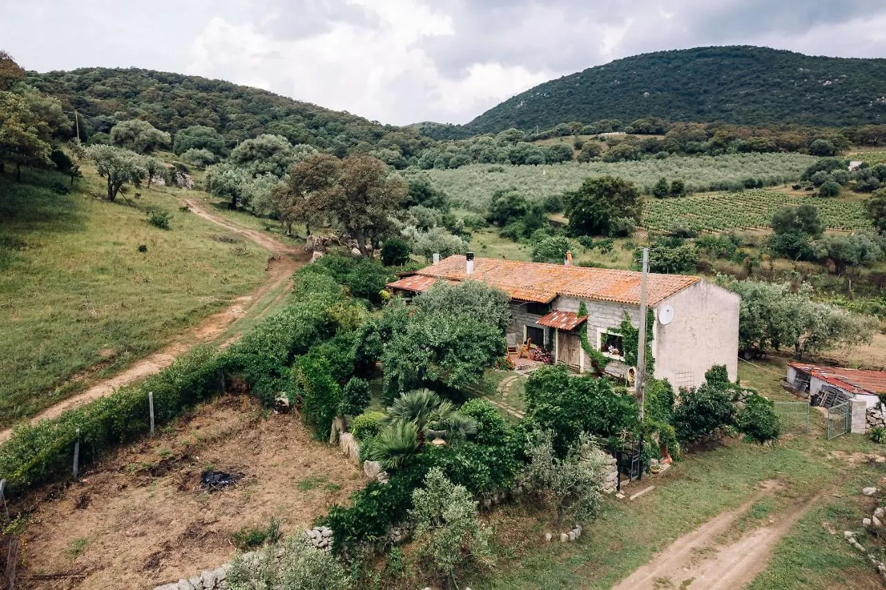 B&B San Michele Berchidda